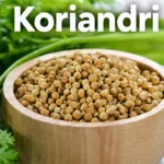 Koriandri