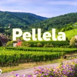 pellela