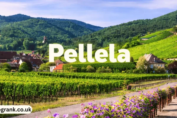 pellela