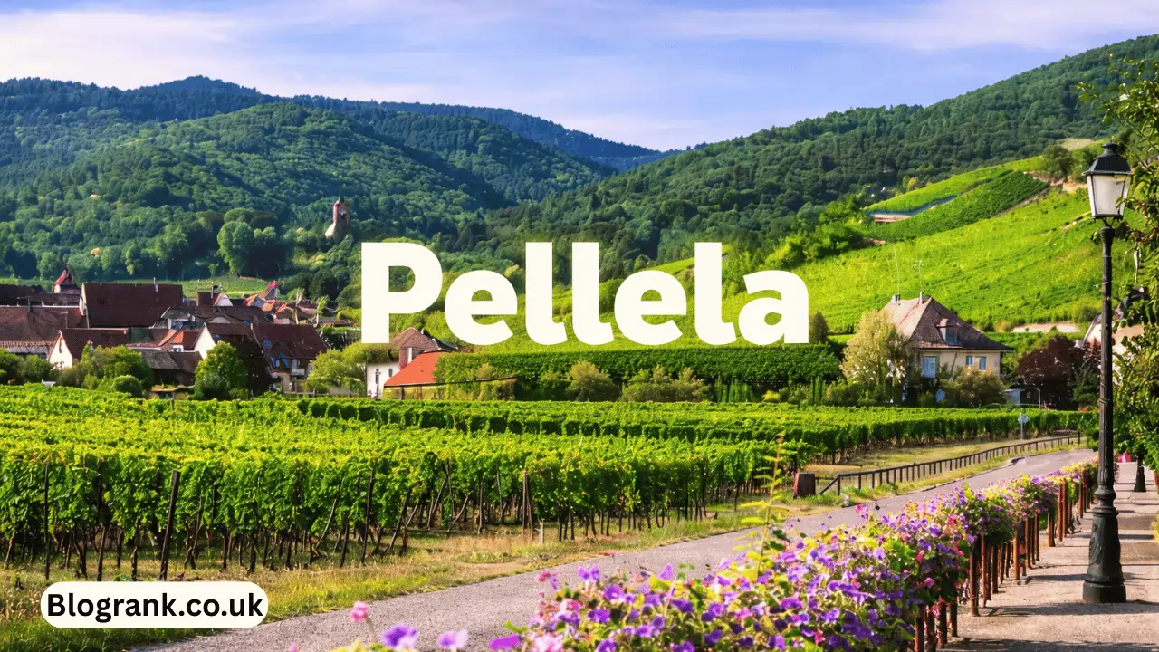 pellela