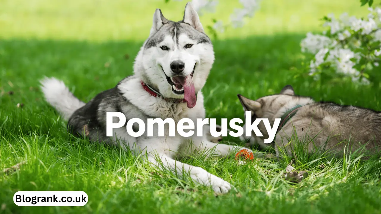 pomerusky