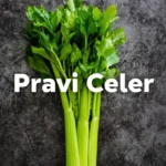 pravi celer