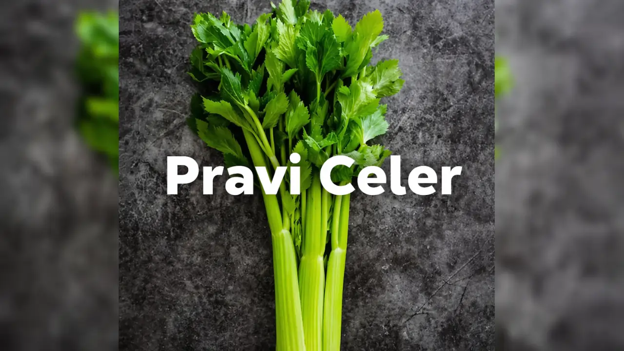 pravi celer