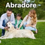 abradore