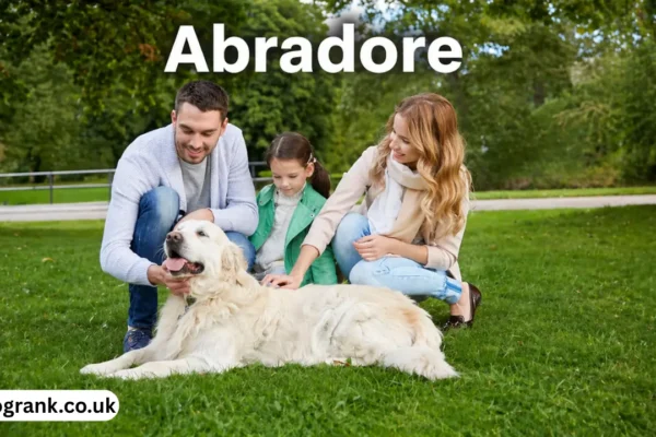 abradore