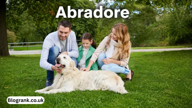 abradore
