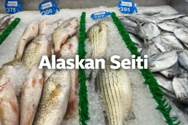 alaskan seitI