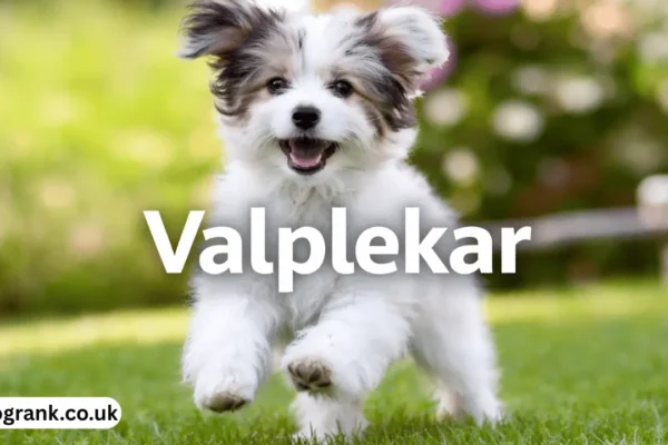 valplekar