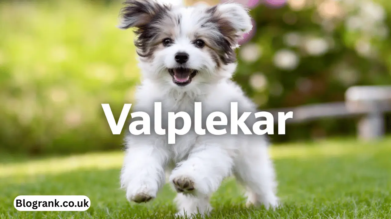 valplekar