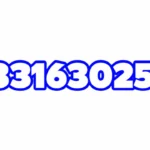 03316302561