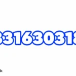 03316303180